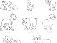 Imagier des animaux de la ferme à colorier