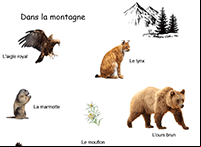 Imagier pour maternelle, les animaux de la montagne