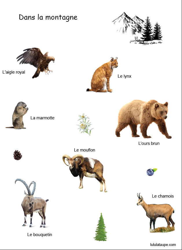 Les animaux dans la montagne, fiche pédagogique gratuite à imprimer