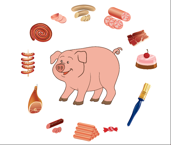 Production à partir du cochon, charcuterie, pinceau de soies et gélatine