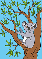 Un koala, coloriage à imprimer
