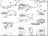 Fiche gratuite  à imprimer, les animaux marins