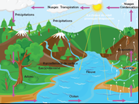 Le cycle de l'eau