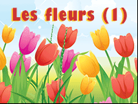 Imagier pour apprendre les noms des fleurs