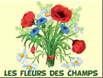 Imagier, les fleurs selon les mois de l'année