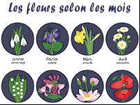 Imagier, les fleurs selon les mois de l'année
