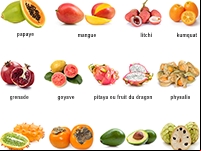 Imagier pour apprendre les noms des fruits exotiques