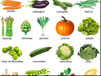 Imagier pour apprendre les noms des légumes