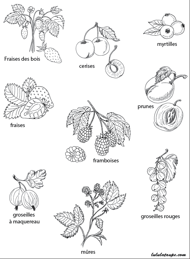 Fiche, les fruits et les noms à imprimer 