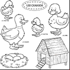 Coloriage un canard, une cane, les canetons, un nid avec œufs, un poulailler