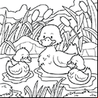 Coloriage une cane et ses canetons sur l'eau