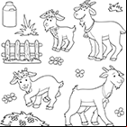 Coloriage les chèvres : un bouc, une chèvre et des chevreaux