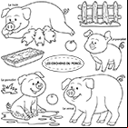 Coloriage les cochons ou porcs : une truie, un verrat et des porcelets