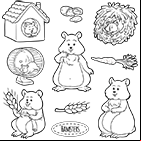 Coloriage à imprimer, les hamsters