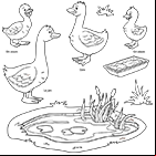 Coloriage à imprimer, une oie, un jars, des oisons
