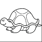 Coloriage une tortue