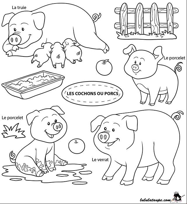 Dessin gratuit à colorier, des cochons : truie, verrat et porcelets
