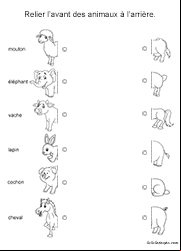 Fiche ludique, relier l'avant des animaux à l'arrière