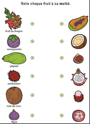 Apprendre le nom des fruits : fruit de la ion, le mangoustan, la papaye, le ramboutan, la noix de coco, la figue. 