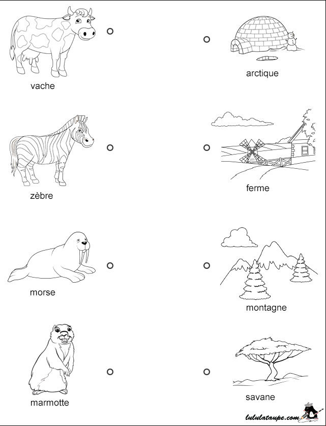 Exercice gratuit, les animaux et leur lieu d'habitation