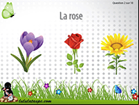Jeu gratuit en ligne pour apprendre le nom des fleurs