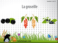Jeu gratuit en ligne pour apprendre le nom des fruits