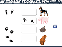 Jeu gratuit en ligne pour apprendre à reconnaître les empreintes des animaux