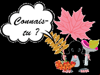Jeux en ligne : connais-tu ?