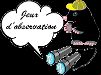 Jeux d'observation à imprimer